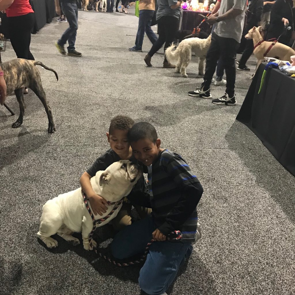 Las Vegas Pet Expo 2018 Las Vegas Bulldog Club